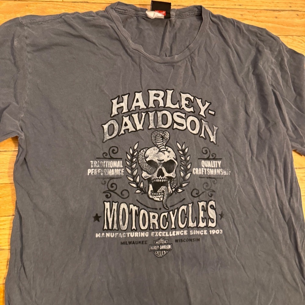 Harley Davidson Mens 2XL T-Shirt Skull Cobra Black Hills Rapid City SD Blue Gray